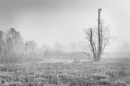 Herbst am Katzensee